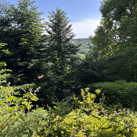 Mon Desir Apartman Fresse-sur-Moselle