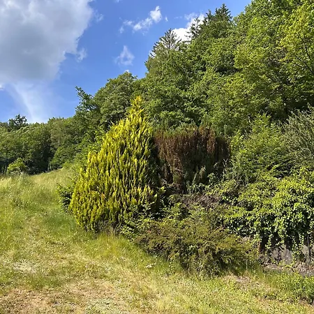 Mon Desir Fresse-sur-Moselle